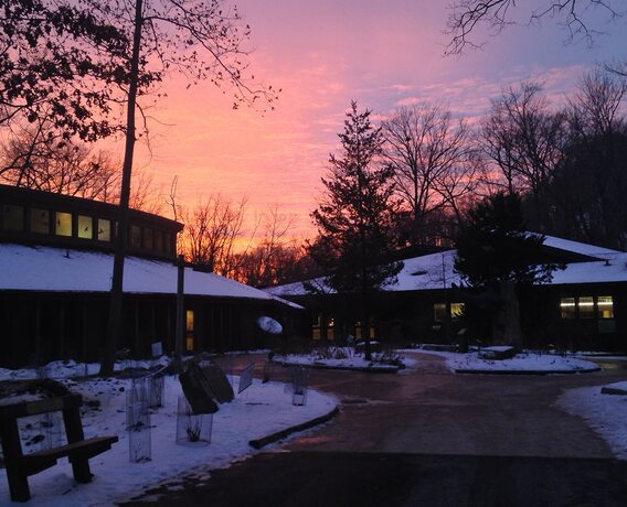 Light up the Night Walk