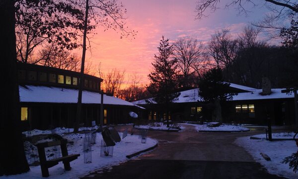 Light up the Night Walk