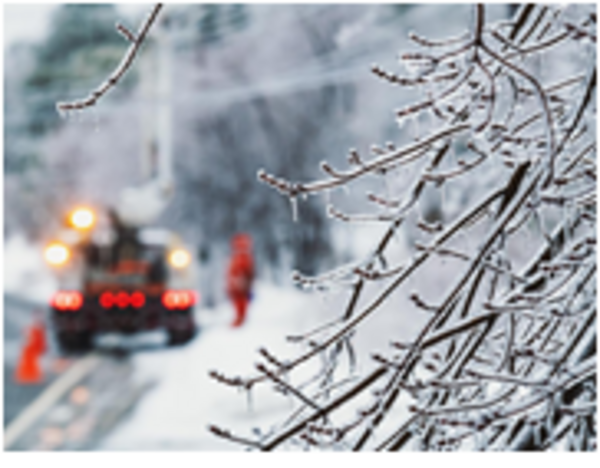 Getting plain language in Social Security and Medicare/Medicaid offices